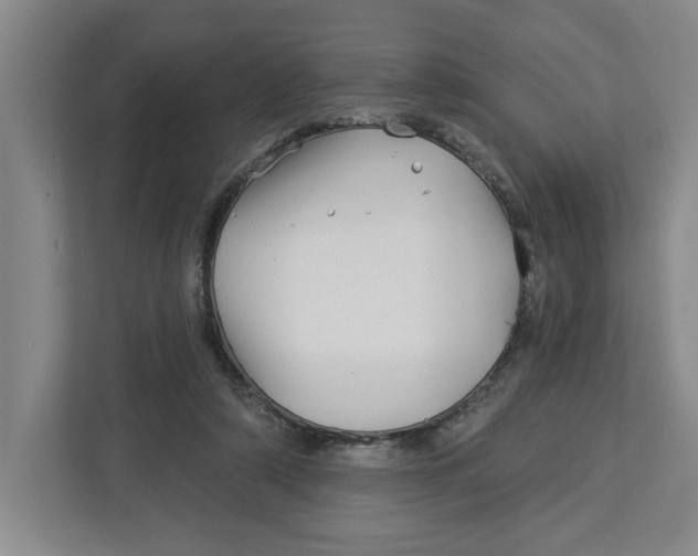 X0000112460306200909141104