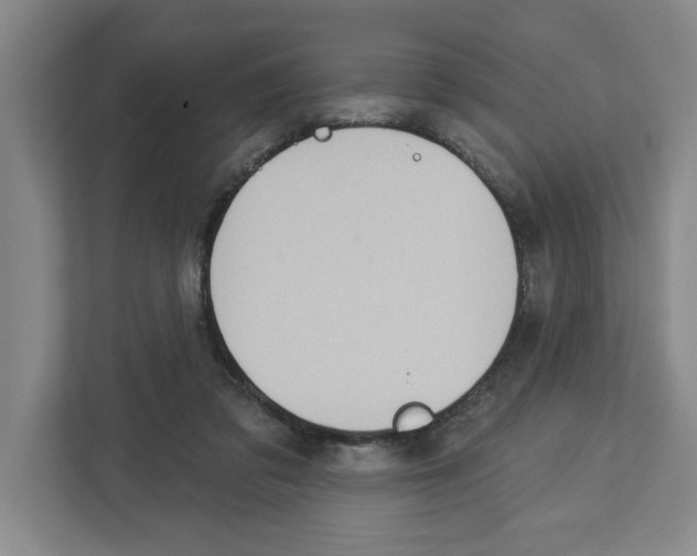 X0000112460309200909141103