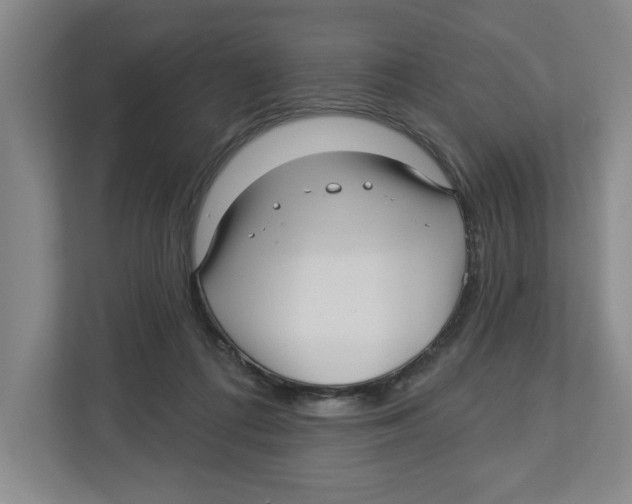 X0000112460312200909141103