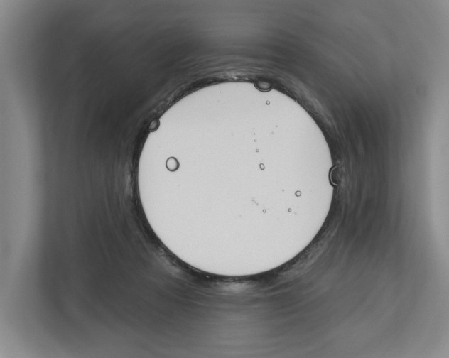 X0000112460313200909141103