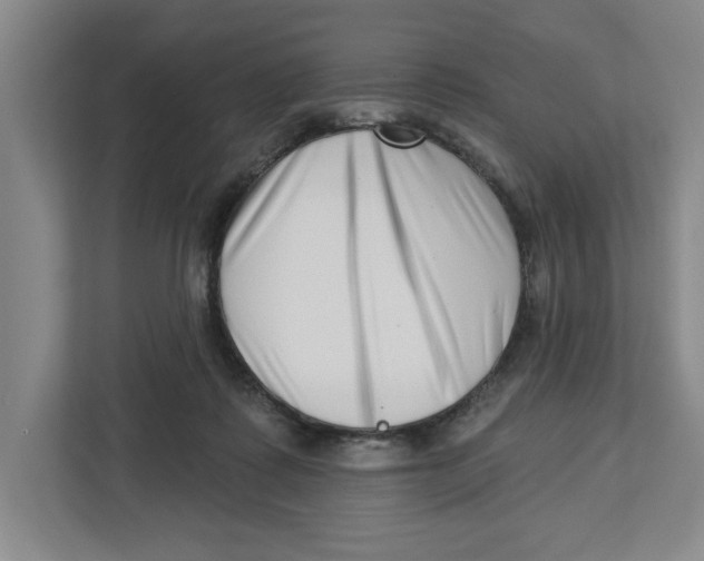 X0000112460315200909141103