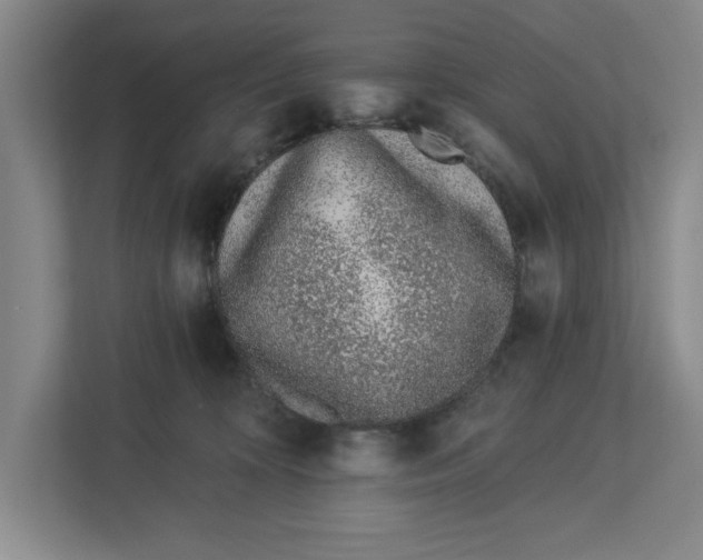 X0000112460324200909141103