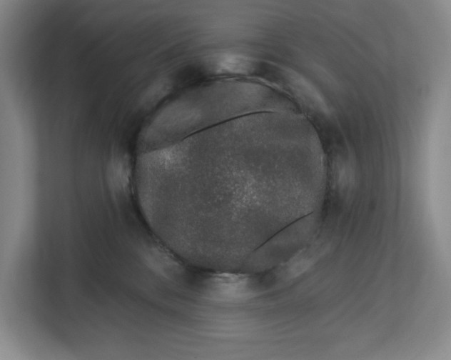 X0000112460328200909141103