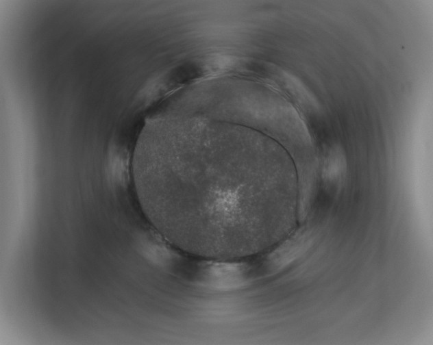 X0000112460332200909141103