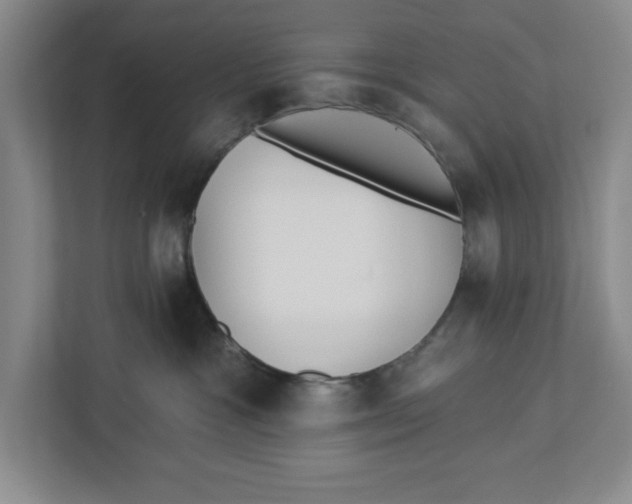 X0000112460333200909141103