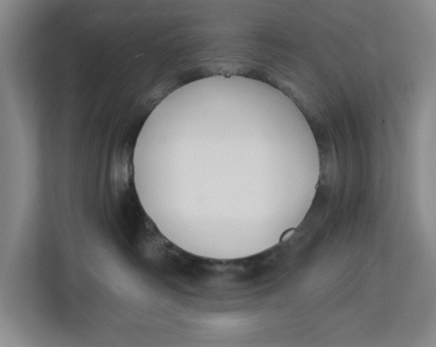 X0000112460334200909141103
