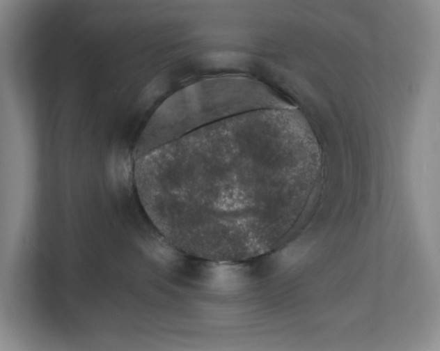 X0000112460336200909141103