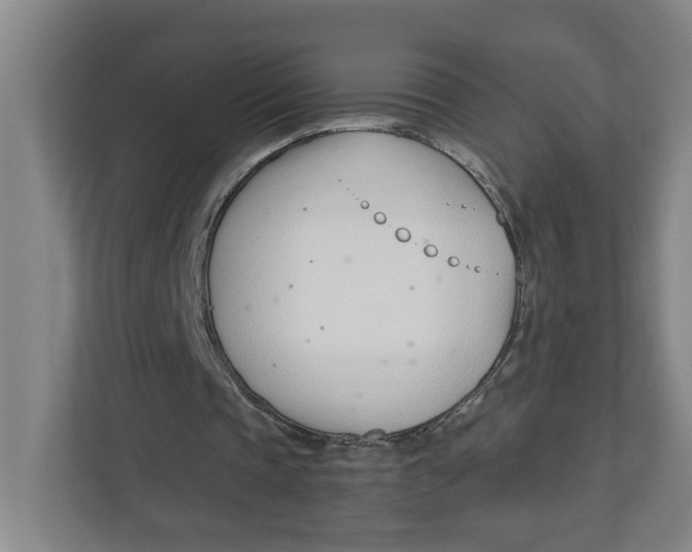 X0000112460337200909141102