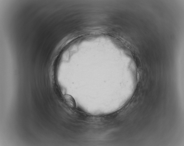 X0000112460339200909141102