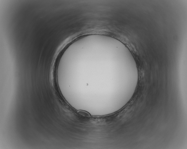 X0000112460340200909141102