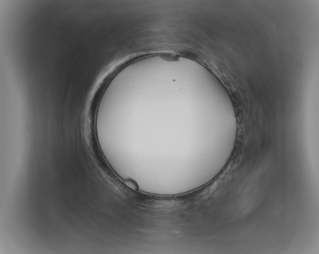 X0000112460342200909141102