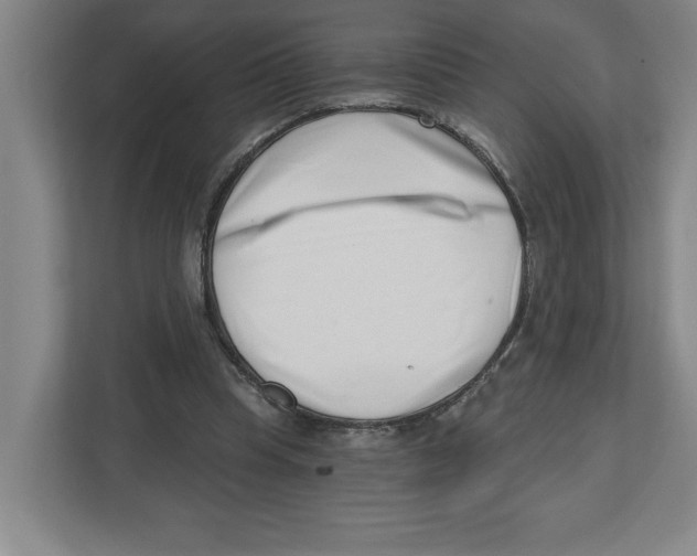 X0000112460345200909141103