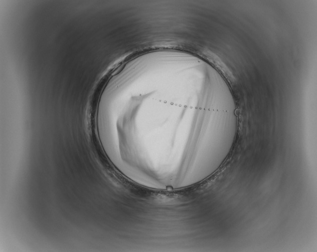 X0000112460346200909141103