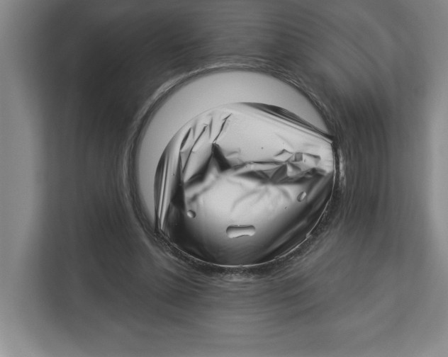 X0000112460348200909141103