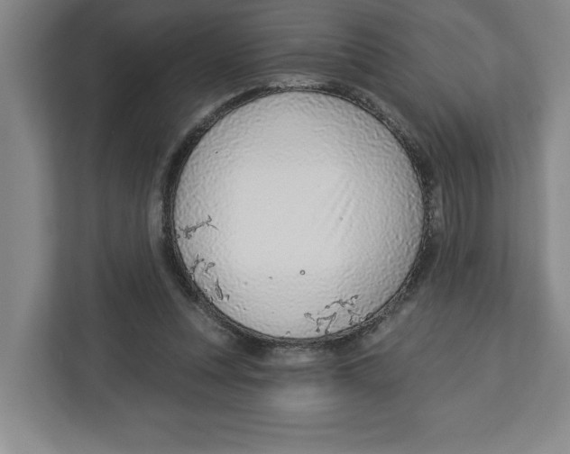 X0000112460351200909141103