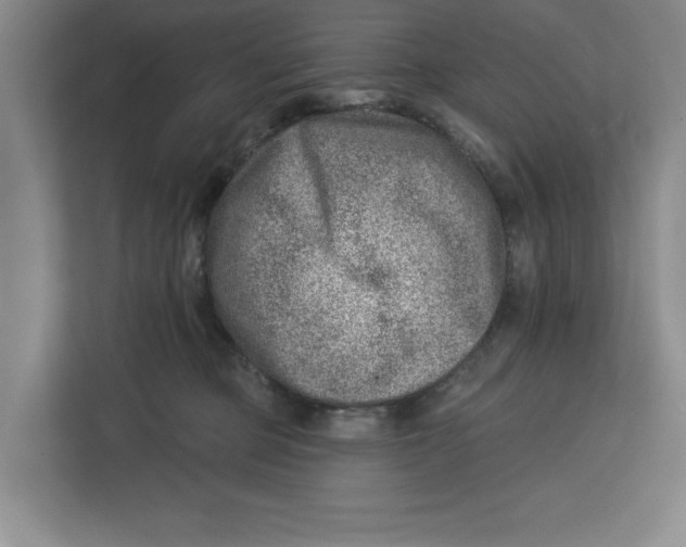 X0000112460373200909141103