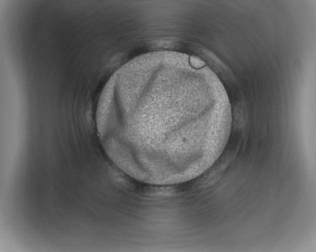 X0000112460377200909141103