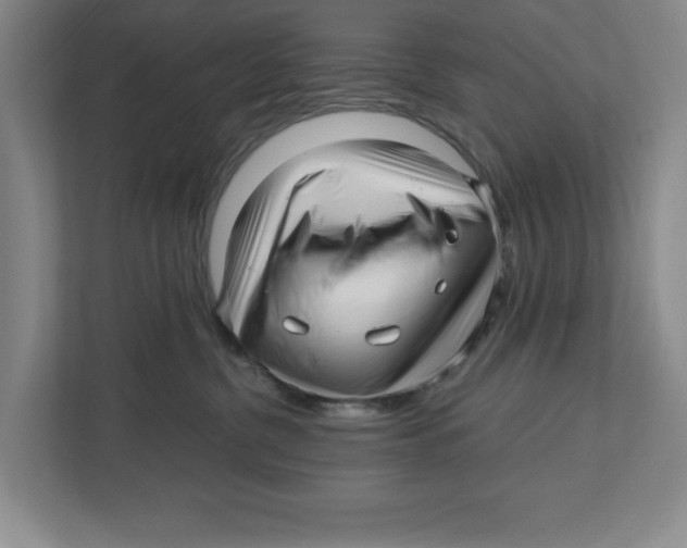 X0000112460380200909141103