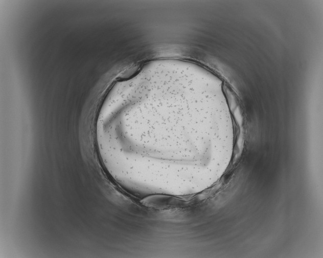 X0000112460385200909141102