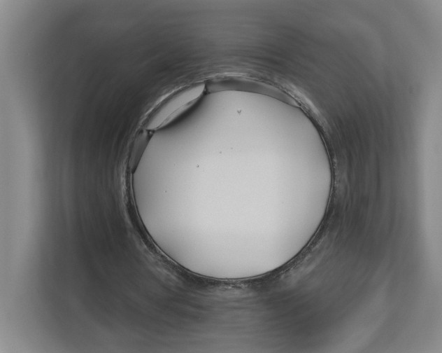 X0000112460386200909141102