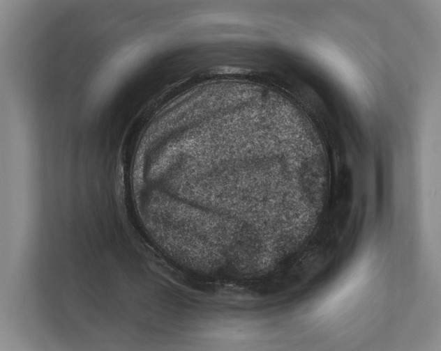 X0000112460387200909141102