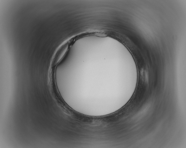X0000112460388200909141102