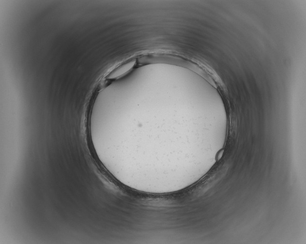 X0000112460389200909141102