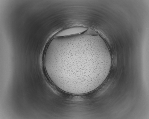 X0000112460390200909141102