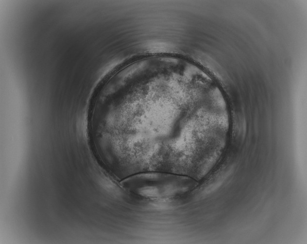 X0000112460391200909141102