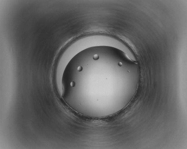 X0000112460399200909141102