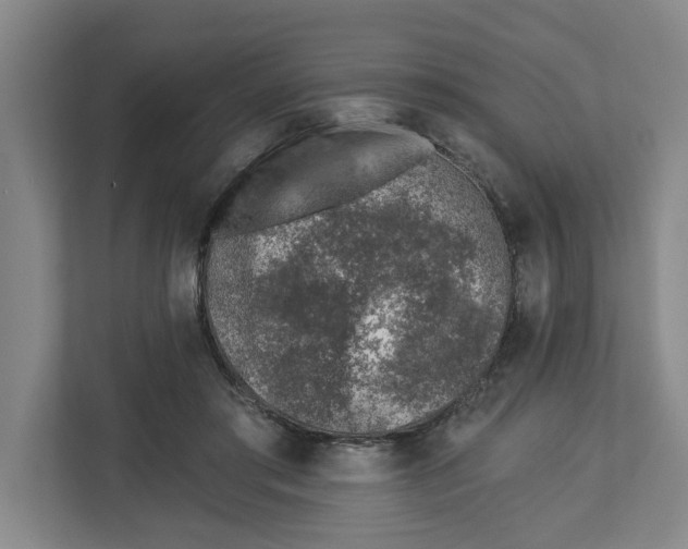 X0000112460405200909141102