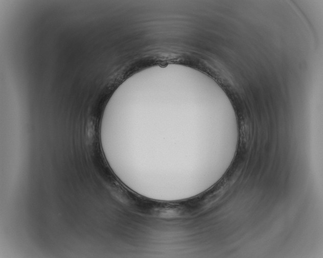 X0000112460412200909141102