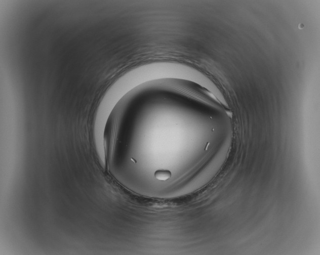 X0000112460415200909141102