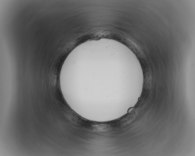 X0000112460417200909141102