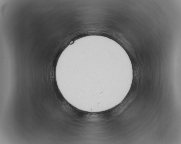 X0000112460419200909141102