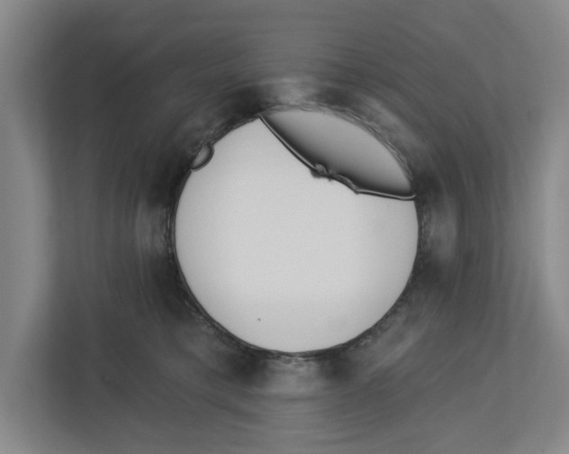 X0000112460421200909141102