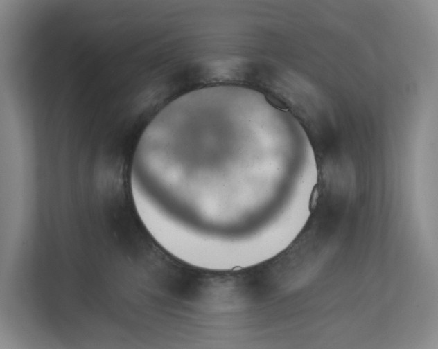 X0000112460423200909141102