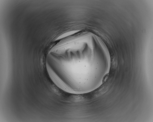X0000112460424200909141102