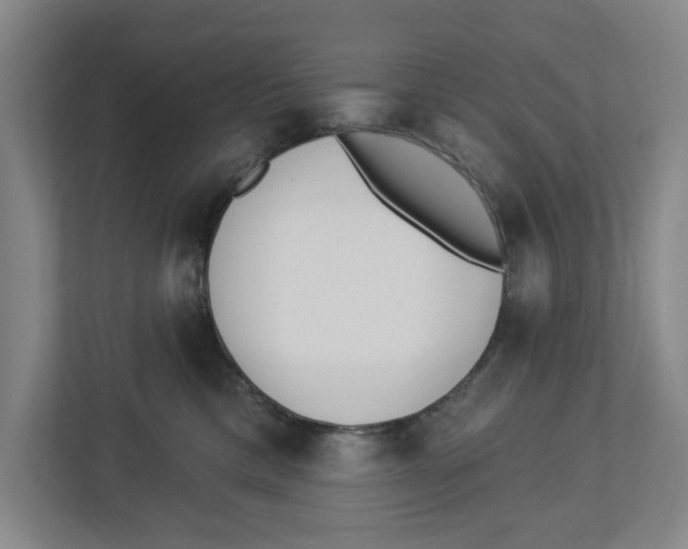 X0000112460425200909141102