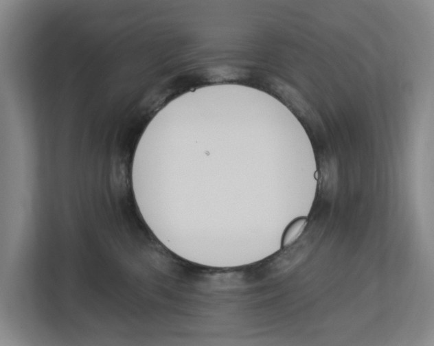 X0000112460426200909141102