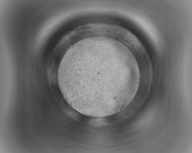 X0000112460431200909141102