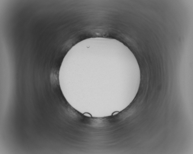 X0000112460432200909141102
