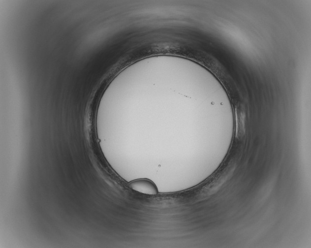 X0000112460435200909141101