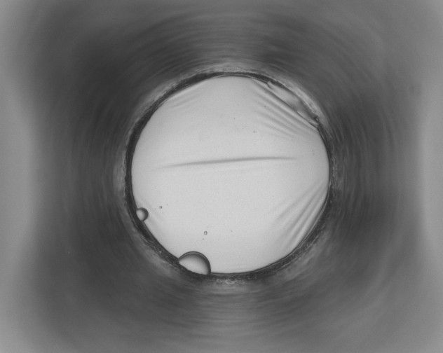 X0000112460437200909141101
