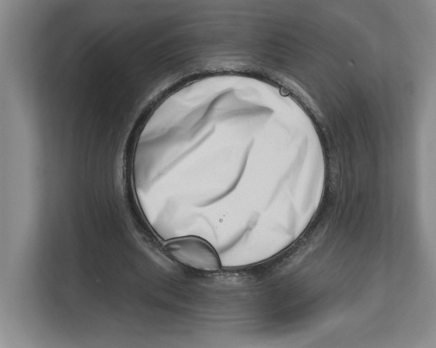 X0000112460439200909141101
