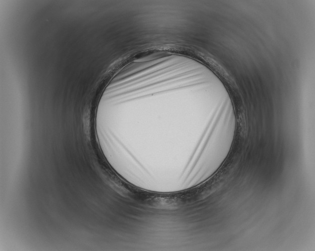 X0000112460442200909141101