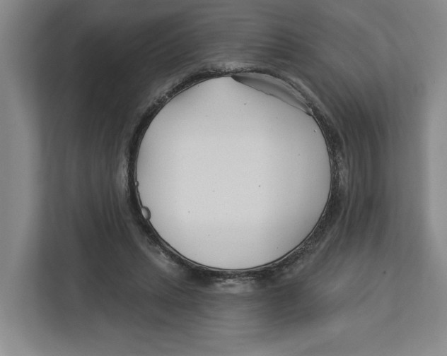 X0000112460447200909141101