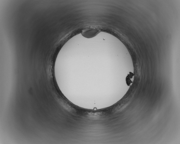 X0000112460450200909141101