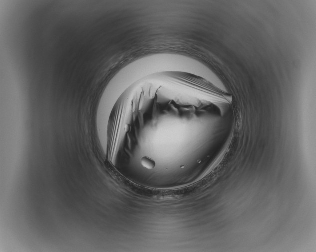 X0000112460452200909141101