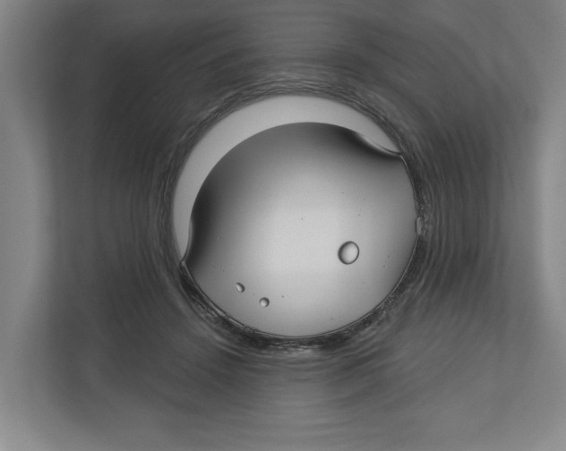 X0000112460456200909141101